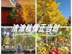 -金城公园