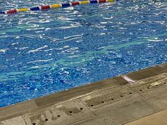 -西吉马游泳健身(协信店)