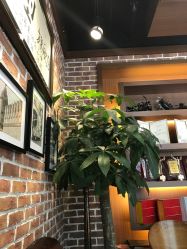 -木北护肤造型