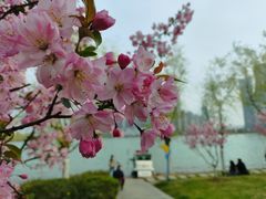 -天鹅湖体育公园