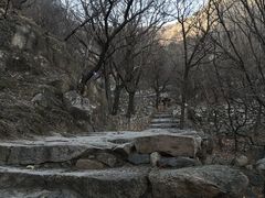 -北京鹫峰国家森林公园