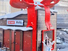 -长春市南湖公园