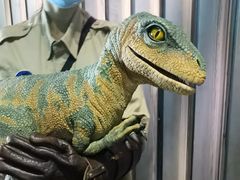 -侏罗纪世界电影特展(广州站)