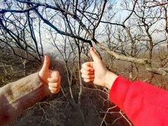 -紫金山山顶公园
