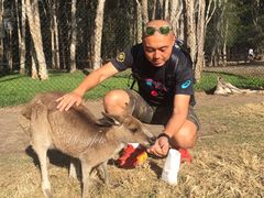 -可伦宾野生动物保护区