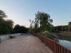 -九科绿洲