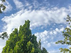 -北京西山国家森林公园