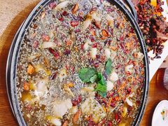 -南山渔美蛙鱼·老鸭汤·火锅(成都大邑店)