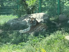 -西安秦岭野生动物园