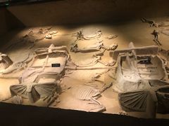 -洛阳周王城天子驾六博物馆