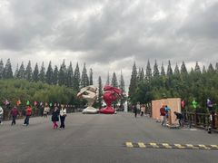 -黄海国家森林公园