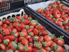 -南坛综合农贸市场