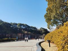 -宜兴龙背山森林公园