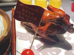 -大鸽饭(体育西路店)