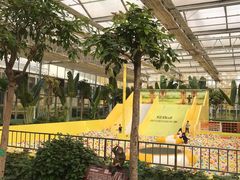 -南宫五洲植物乐园