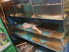-名家韩国料理·烤肉(瑶海店)