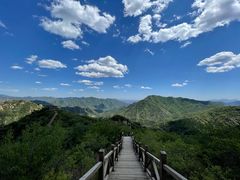 -大岭沟猕猴桃谷风景区