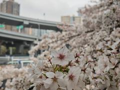 -南浦大桥长途旅游客运站