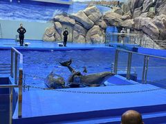 -福州罗源湾海洋世界旅游区