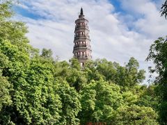 -顺峰山公园