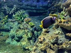 -江和美海洋公园