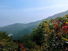 -香山公园