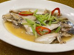 -新梅园不夜粥(龙华店)