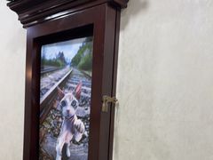 -宠爱国际动物医院·消化内科·心肾内科·ISFM猫友好(望京店)