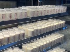 -连杏双皮奶(长沙国金店)