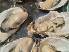 -蚝英雄·鲜蚝自助专门店