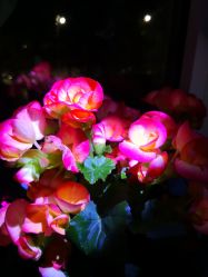 -丹漪·DANYI 美肤中心