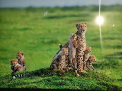 -罗红摄影艺术馆