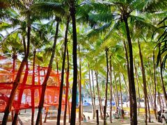 -海南分界洲岛旅游区