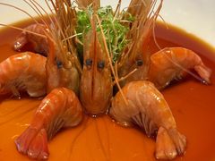 -桂满陇·海市蜃楼·黑金(国金店)