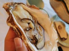 -宾朋海鲜饭庄(兴海路店)