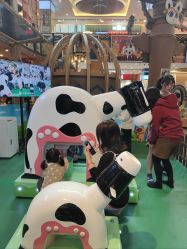 -卡通尼·Safari非洲探索乐园·生日会(金桥国际商业广场店)