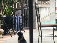 -杨桃院子旅馆(厦门鼓浪屿中华红墨店)