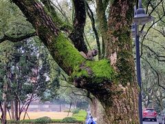 -浙江大学(玉泉校区)