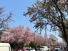 -天津五大道文化旅游区