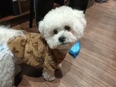 -伽利略剧本探案馆(国贸店)