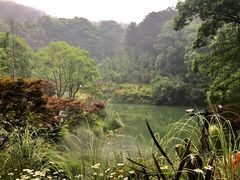 -缙云山景区