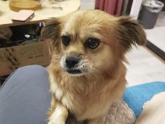 -天发长铁锅炖(王秀村店)