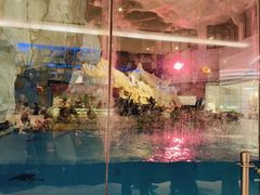 -帝企鹅自助餐厅•儿童岛•真企鹅(长隆企鹅酒店)