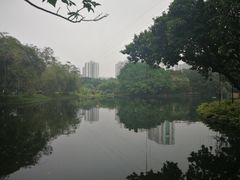 -晓港公园