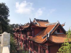 -铁山坪森林公园