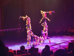 -珠海横琴长隆《卡卡虎奇遇记》