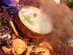 -田鸭肠·非遗火锅(彭州店)