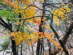 -崂山九水游览区