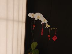 -浩运·海鲜青岛菜·海胆水饺(石老人店)