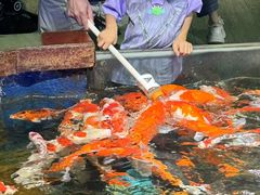 -太平洋海底世界